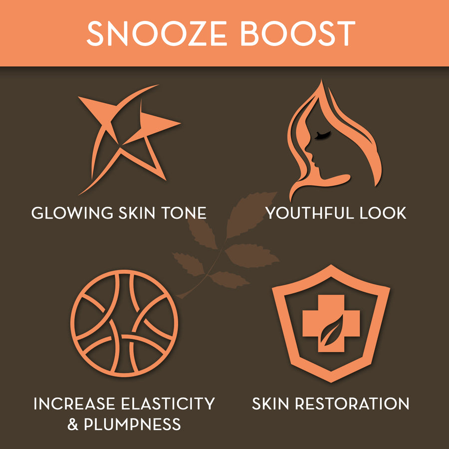 Snooze Boost Overnight Moisturizer